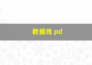 数据线 pd